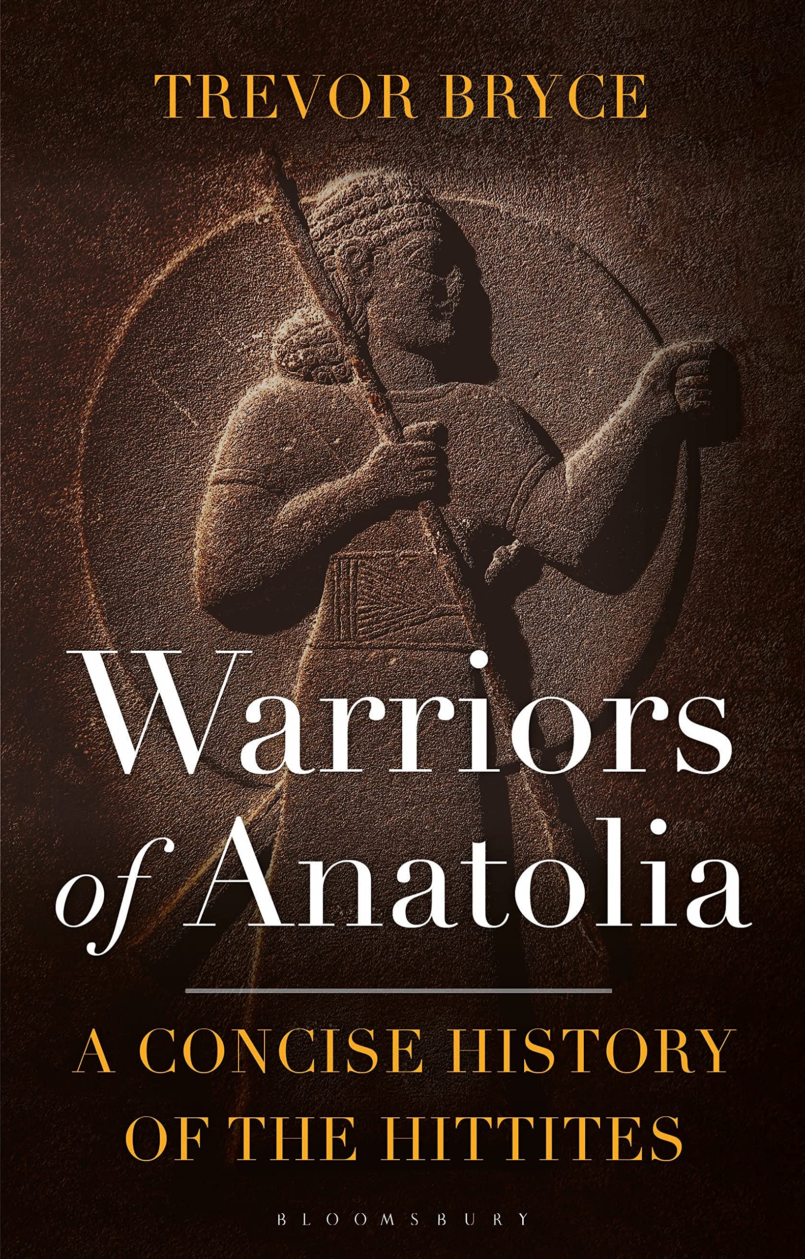 Warriors of Anatolia: A Concise History of the Hittites Social Sciences