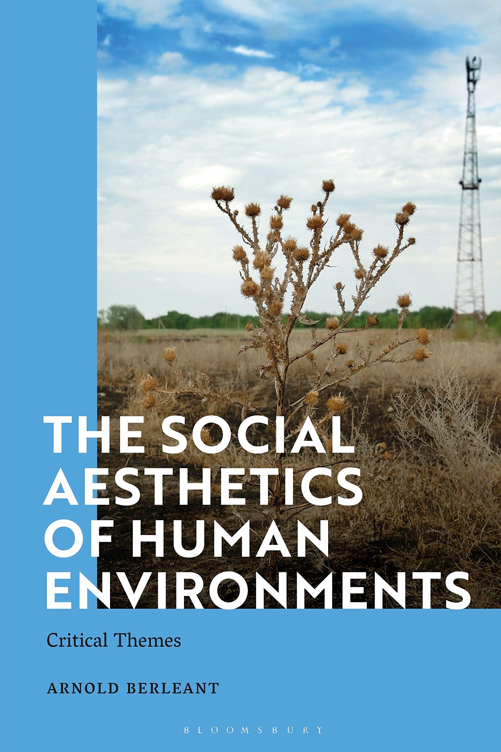 Social Aesthetics of Human Environments, The: Critical Themes Philosophy