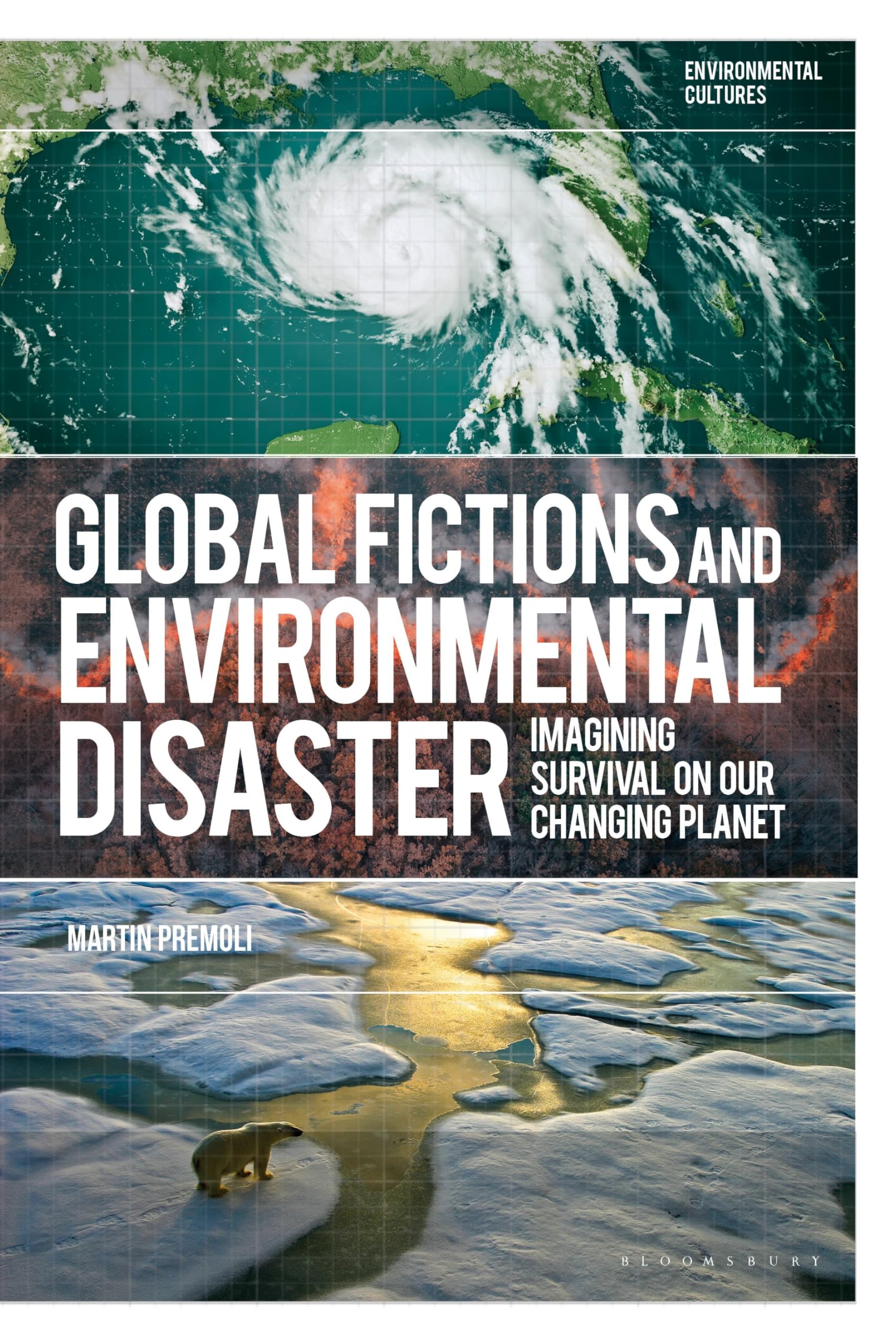 Global Fictions and Environmental Disaster Contemporary literature