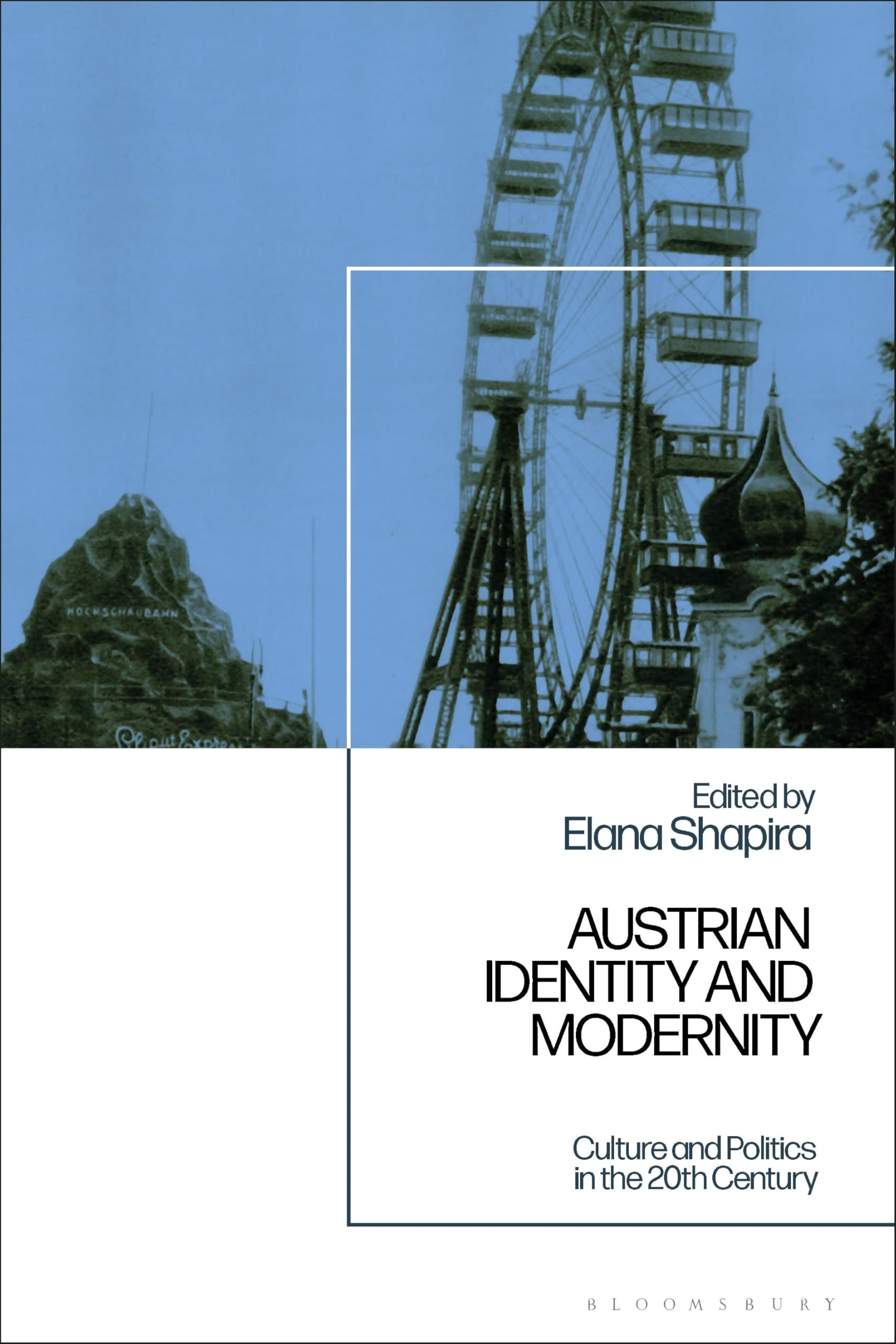 Austrian Identity and Modernity: Culture and Politics in the 20th Century Politics & History