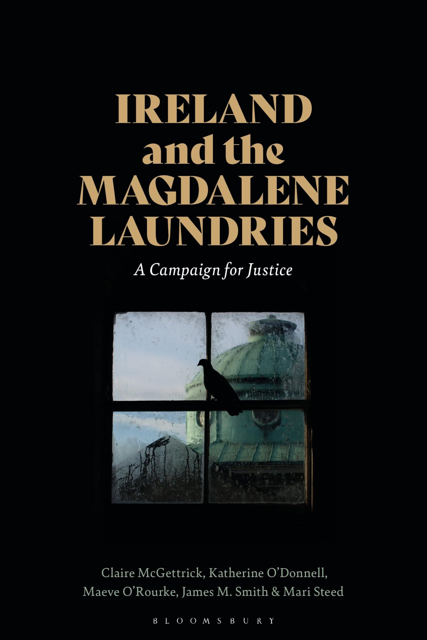Ireland and the Magdalene Laundries: A Campaign for Justice Books