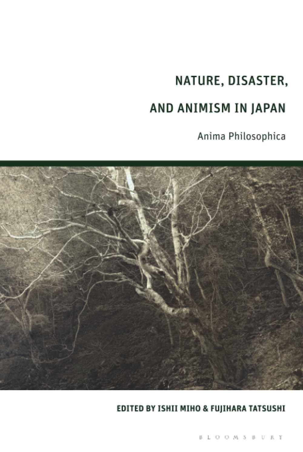 Nature, Disaster, and Animism in Japan Philosophy
