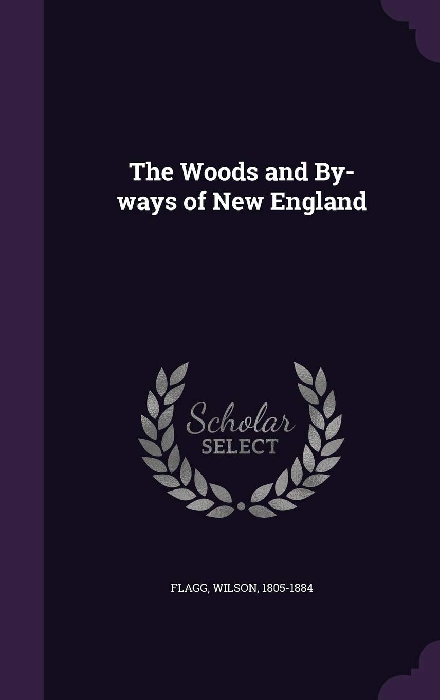 The Woods and By-Ways of New England Mathematics