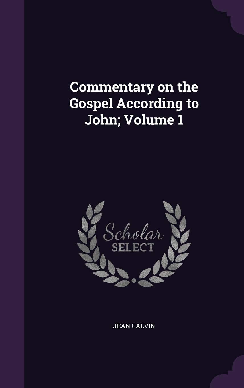 Commentary on the Gospel According to John; Volume 1 Politics & History