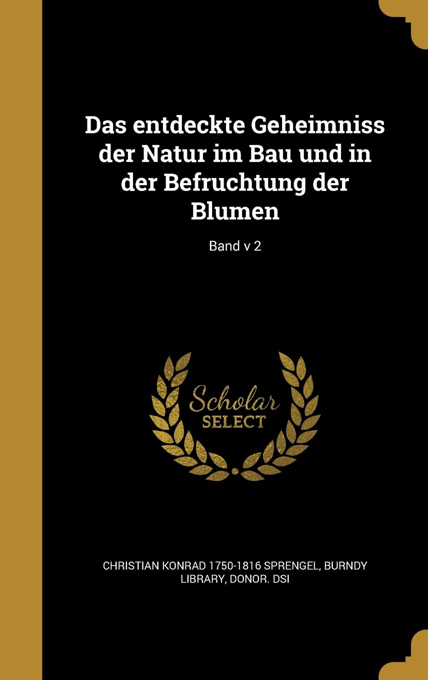 GER-ENTDECKTE GEHEIMNISS DER N Film, Art & Culture
