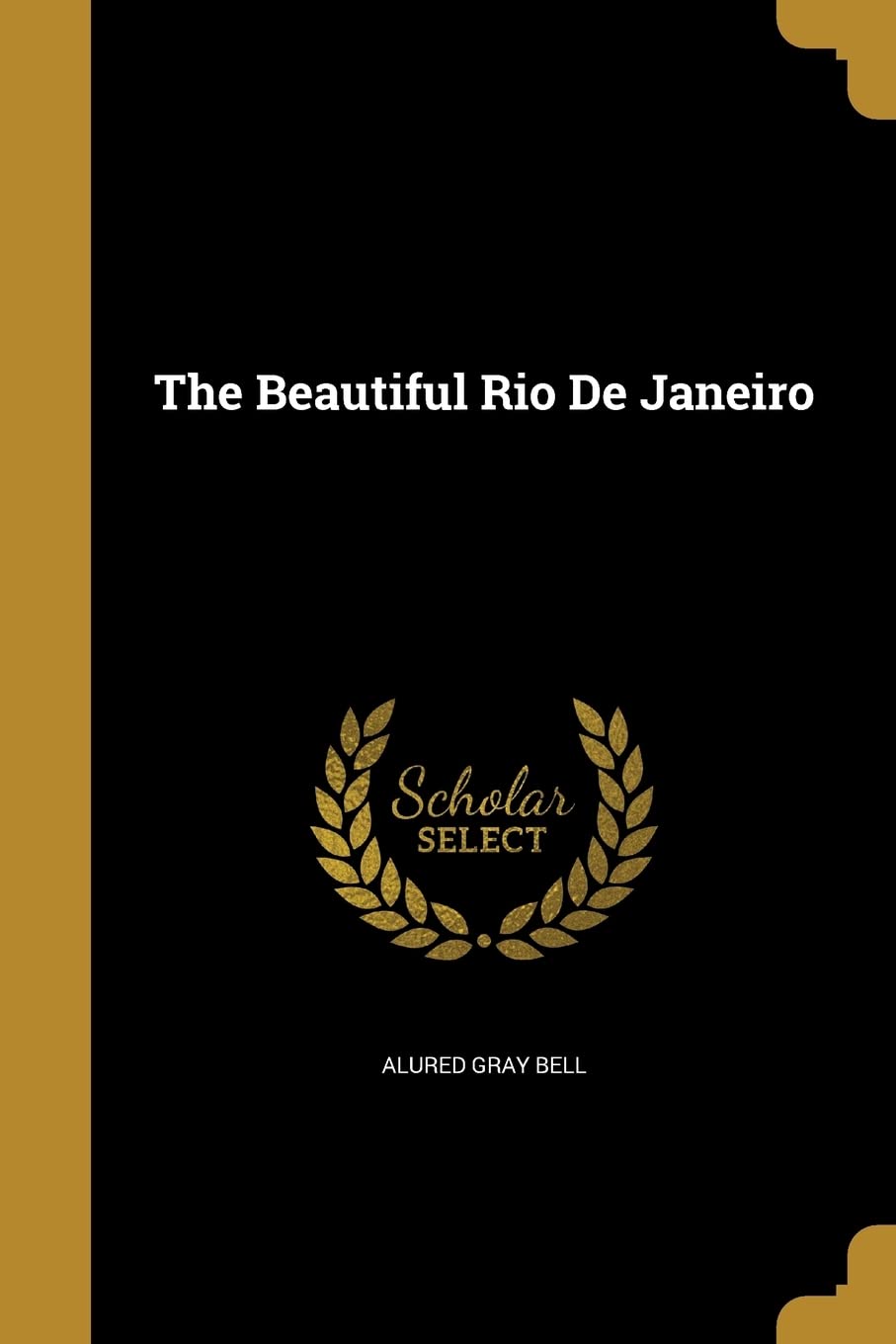 The Beautiful Rio De Janeiro Social Sciences