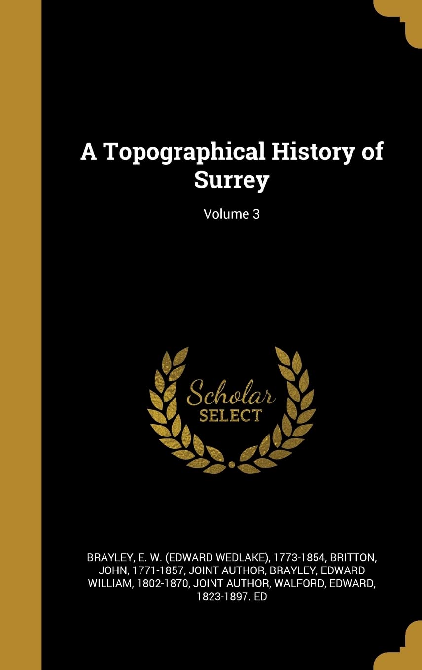 A Topographical History of Surrey; Volume 3 Politics & History