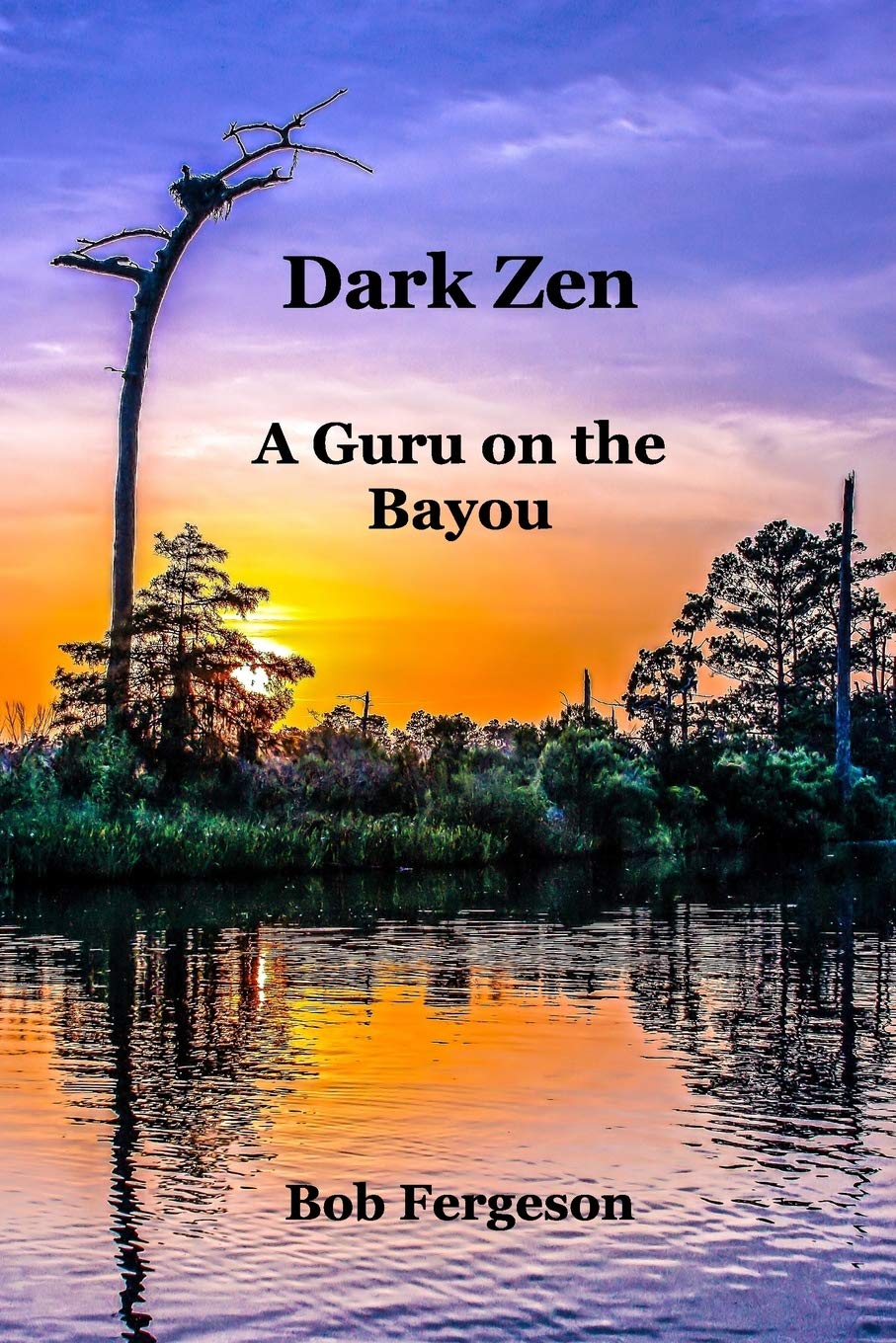 Dark Zen: A Guru On The Bayou book