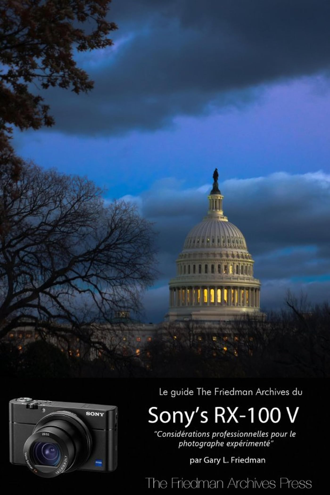 Le Guide The Friedman Archives du Sony's RX-100 V (Édition N & B) book