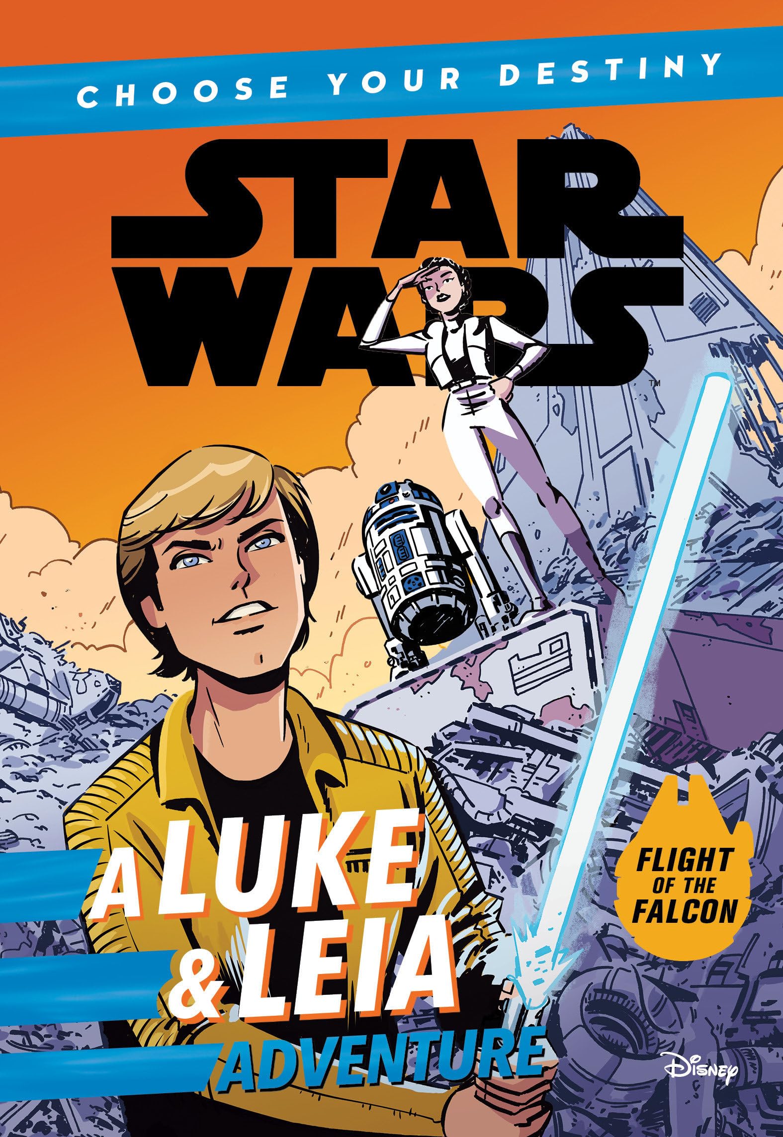 Star Wars A Luke & Leia Adventure: A Choose Your Destiny Chapter Book Novels & Short Stories