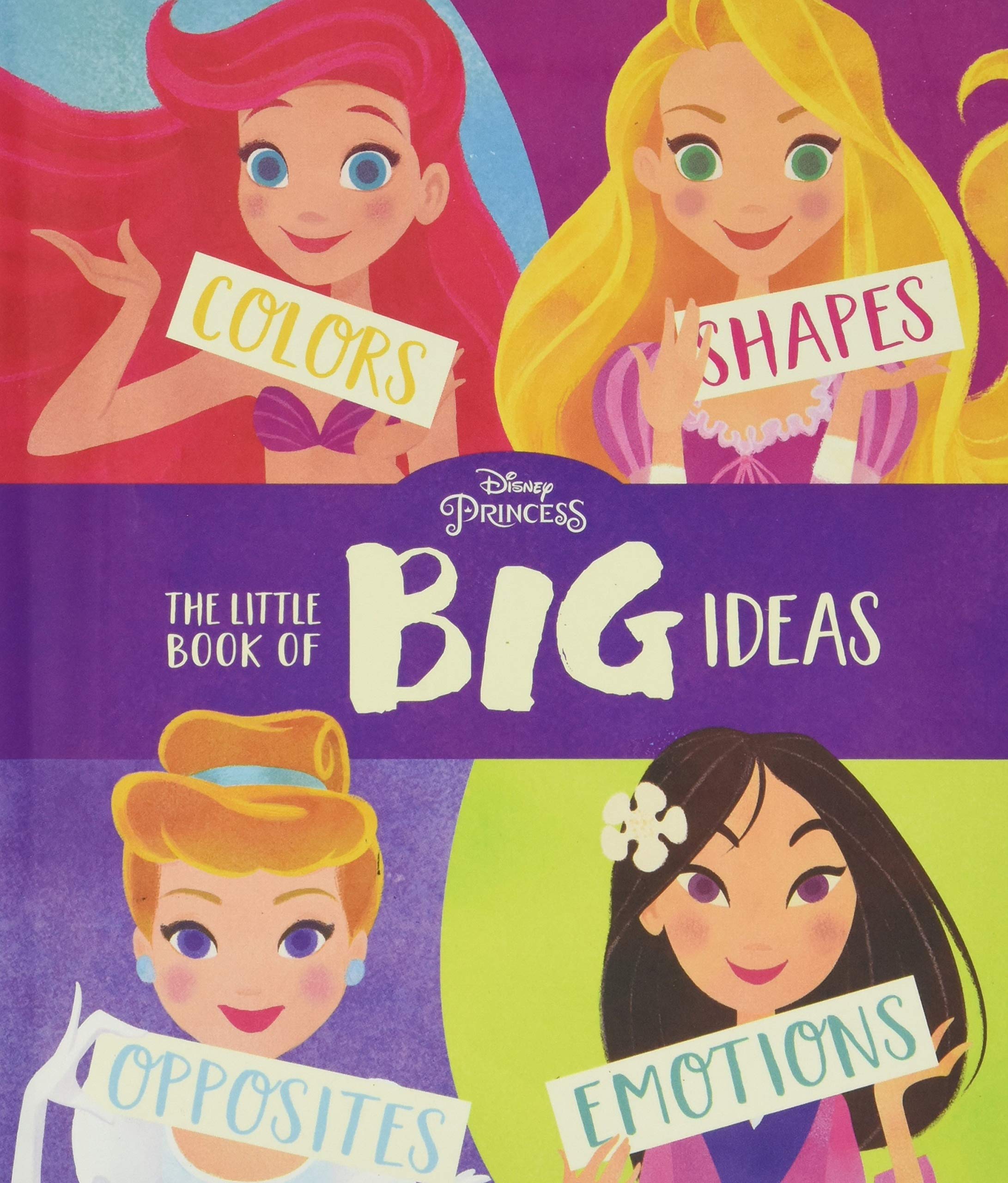 Disney Princess The Little Book of Big Ideas book