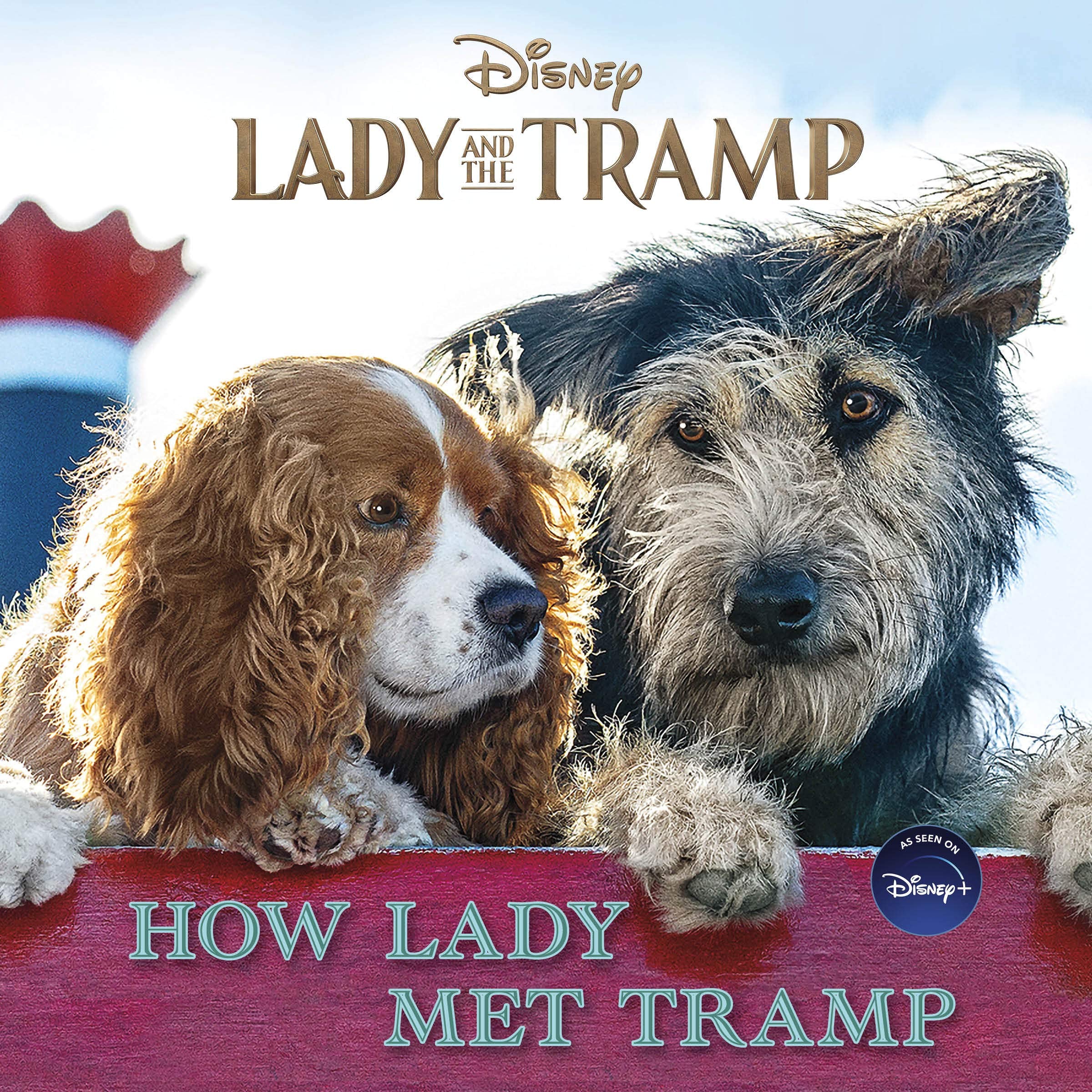 Lady and the Tramp: How Lady Met Tramp book