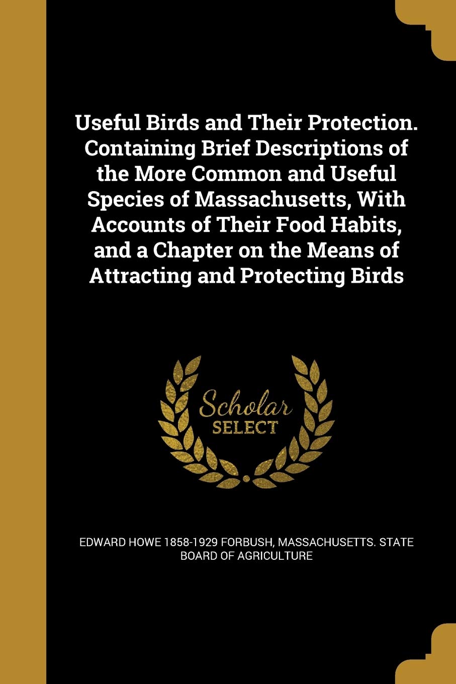 Product Image: USEFUL BIRDS & THEIR PROTECTIO