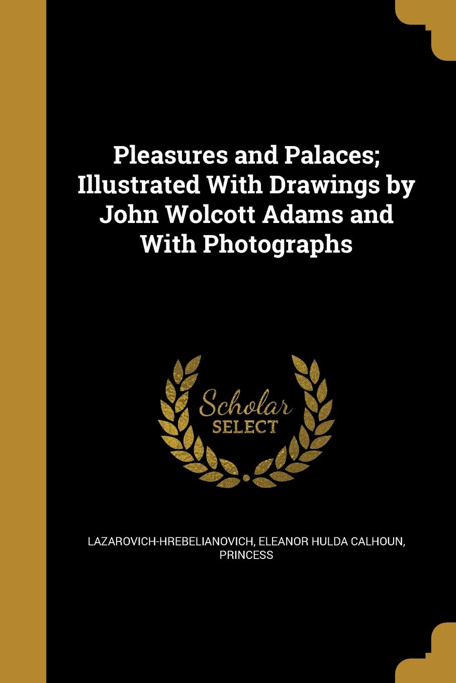 PLEASURES & PALACES ILLUS W/DR Social Sciences