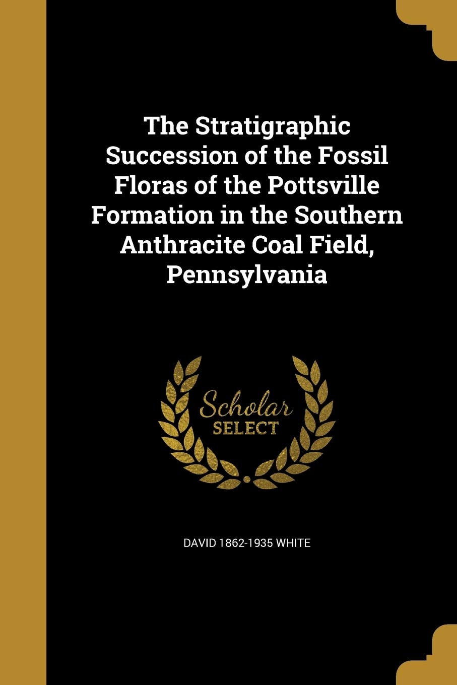 STRATIGRAPHIC SUCCESSION OF TH Social Sciences
