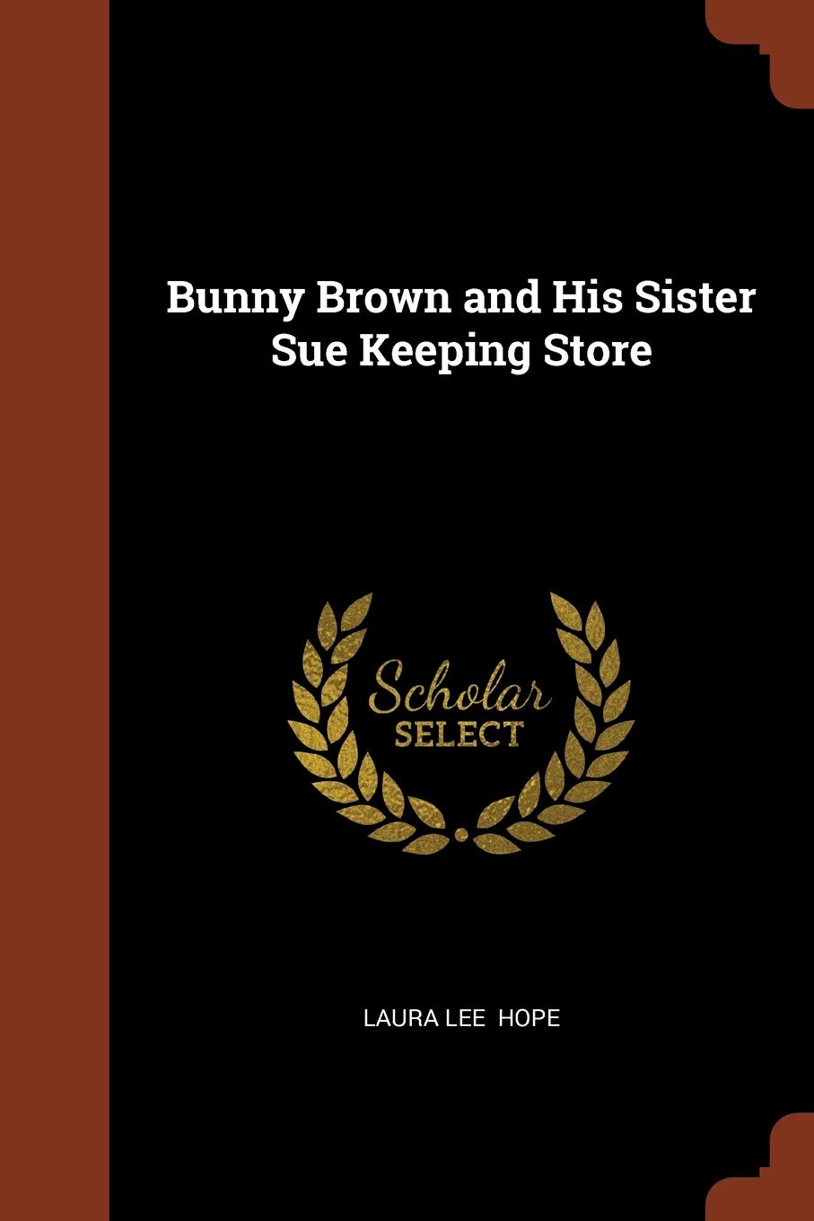 Bunny Brown and His Sister Sue Keeping Store Contemporary literature