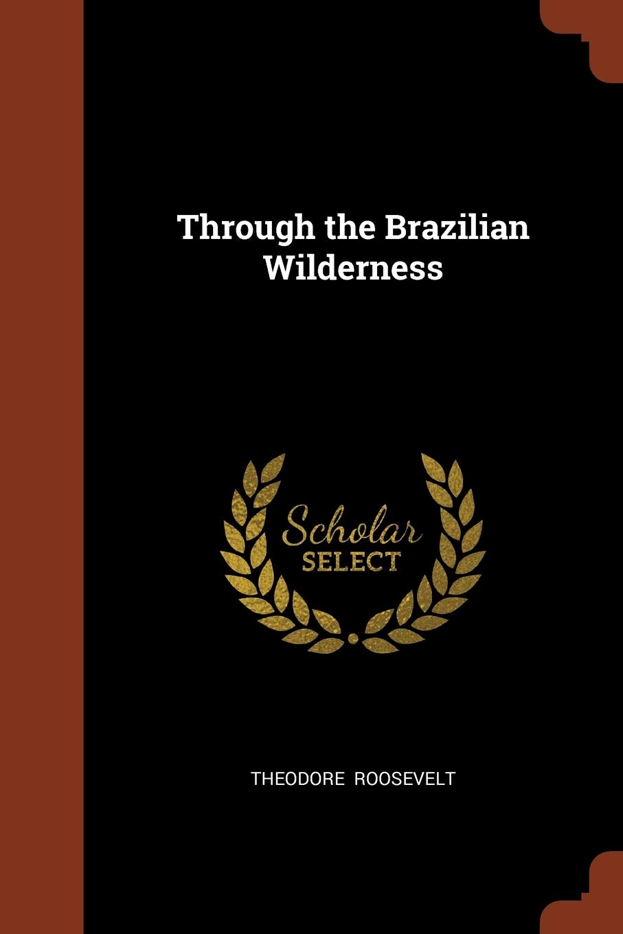 Through the Brazilian Wilderness Contemporary literature