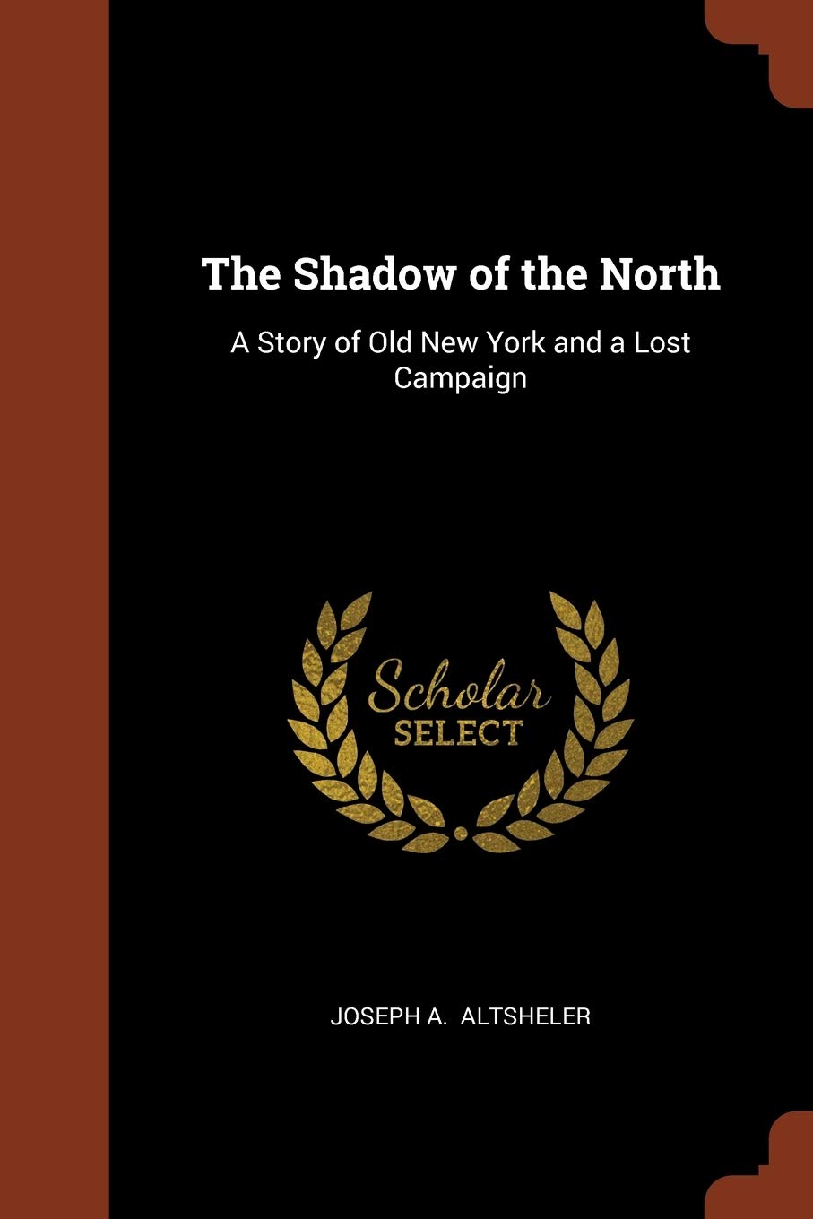 The Shadow of the North: A Story of Old New York and a Lost Campaign Politics & History