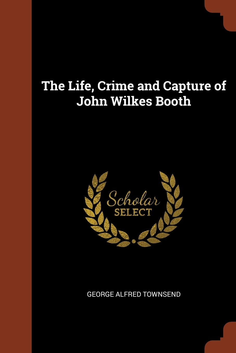 The Life, Crime and Capture of John Wilkes Booth Contemporary literature