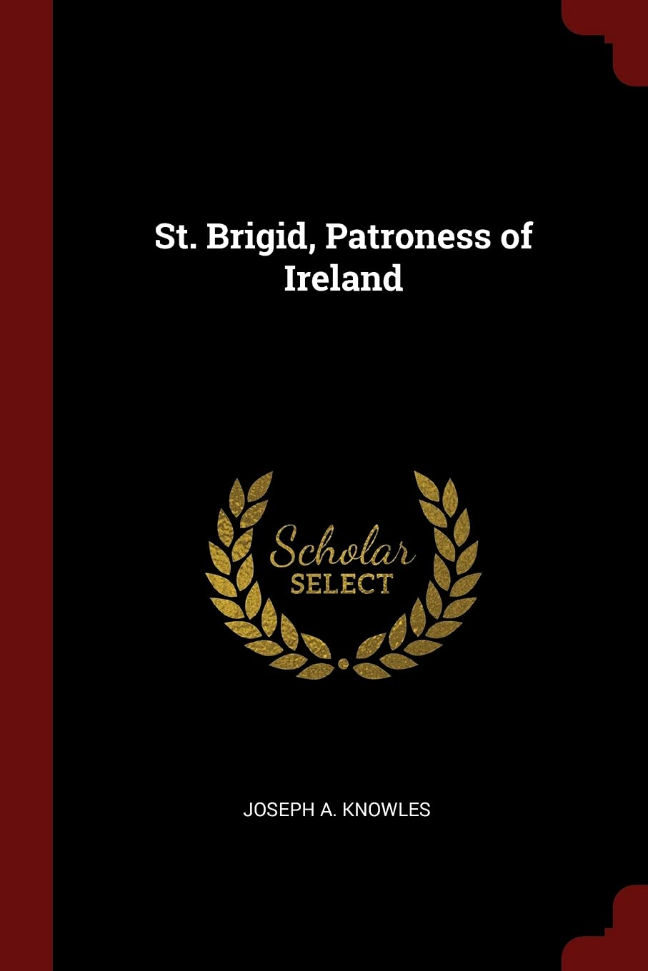 St. Brigid, Patroness of Ireland Contemporary literature
