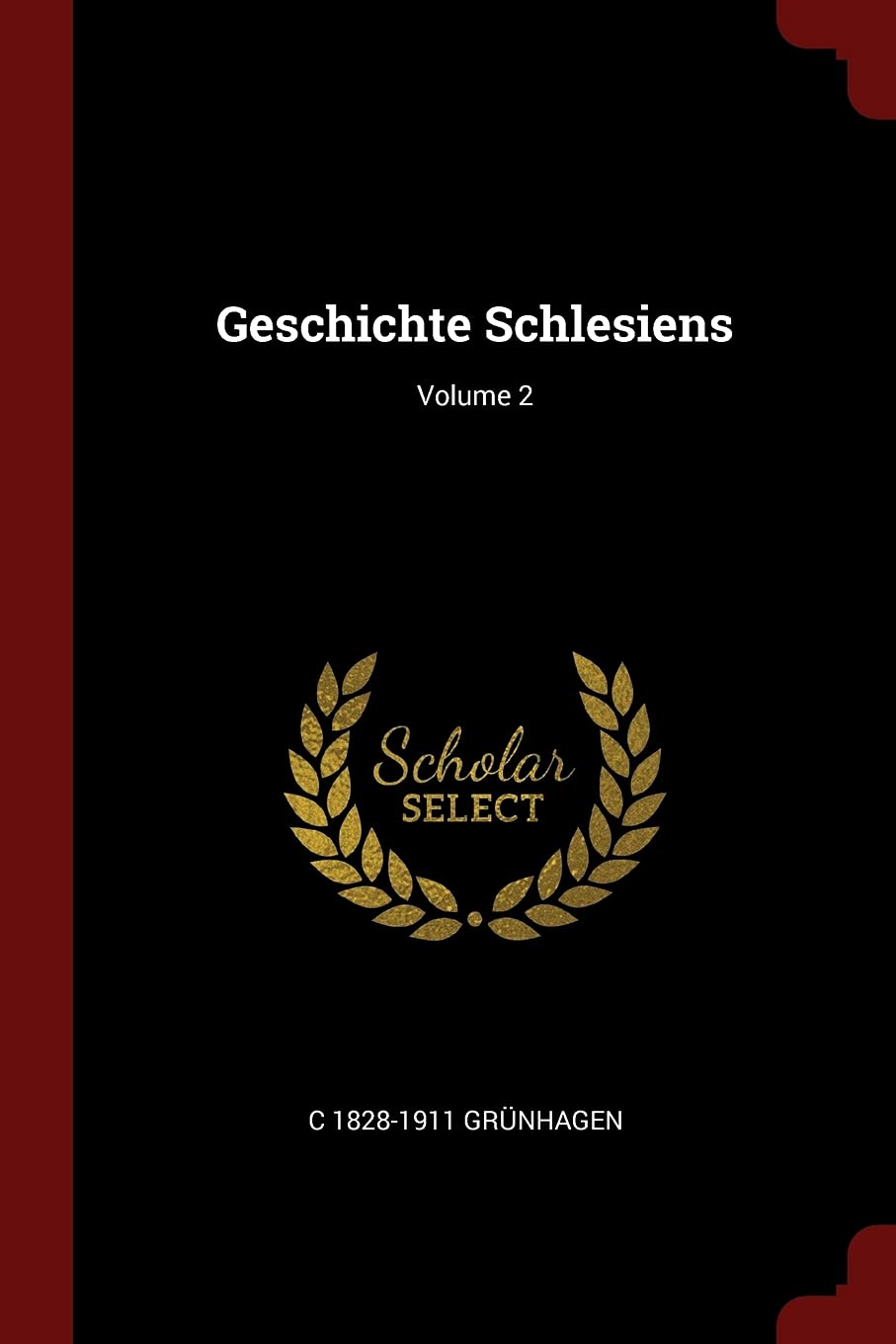 Geschichte Schlesiens; Volume 2 Politics & History