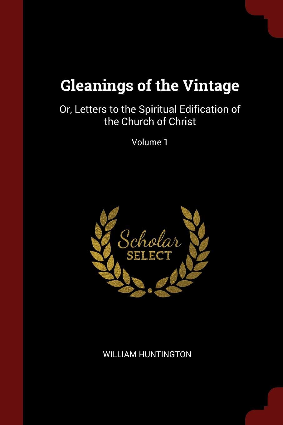 Gleanings of the Vintage: Or, Letters to the Spiritual Edification of the Church of Christ; Volume 1 Contemporary literature Books