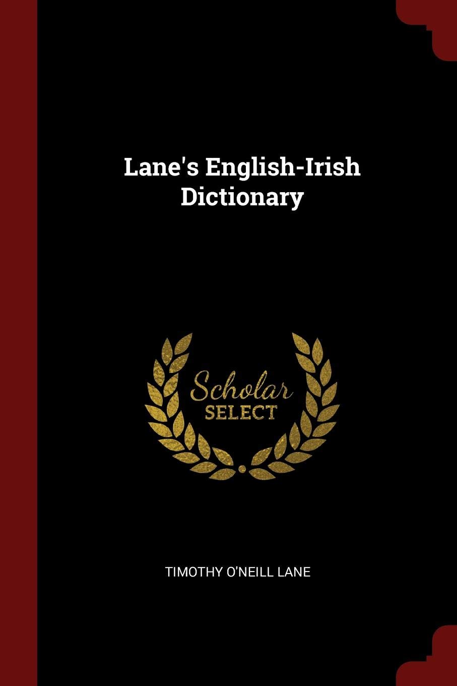 Lane's English-Irish Dictionary Politics & History
