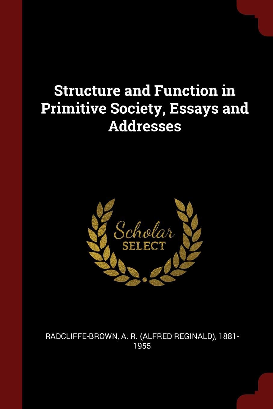 Structure and Function in Primitive Society, Essays and Addresses Politics & History