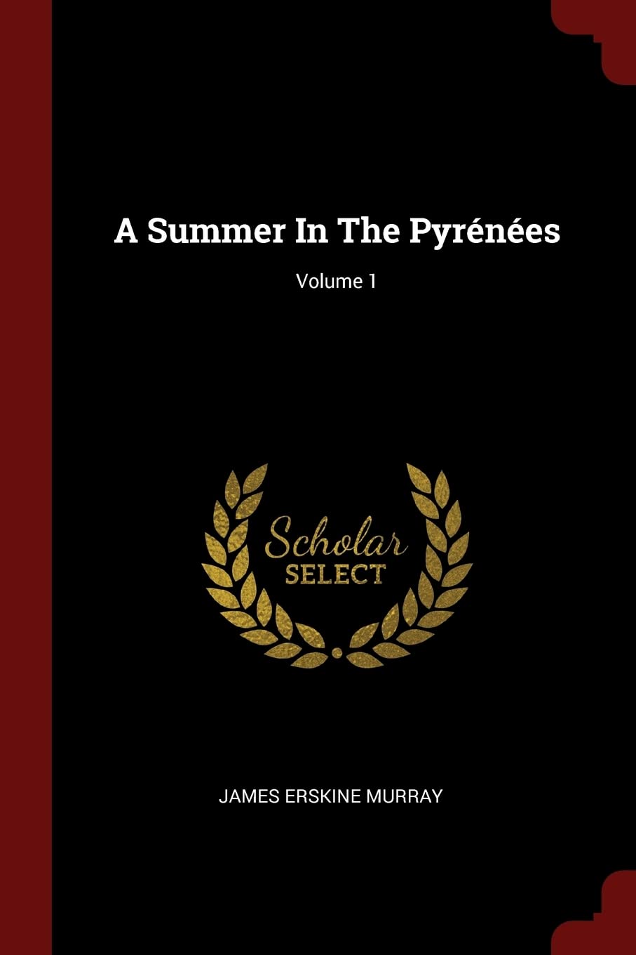 A Summer in the Pyrénées; Volume 1 Politics & History