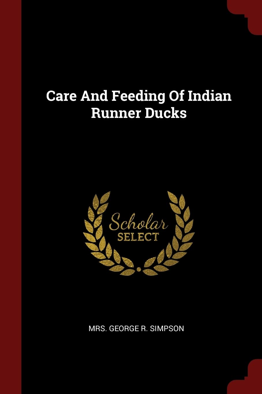 Care And Feeding Of Indian Runner Ducks Politics & History