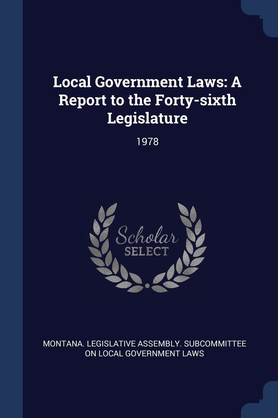 Local Government Laws: A Report to the Forty-sixth Legislature: 1978 Politics & History