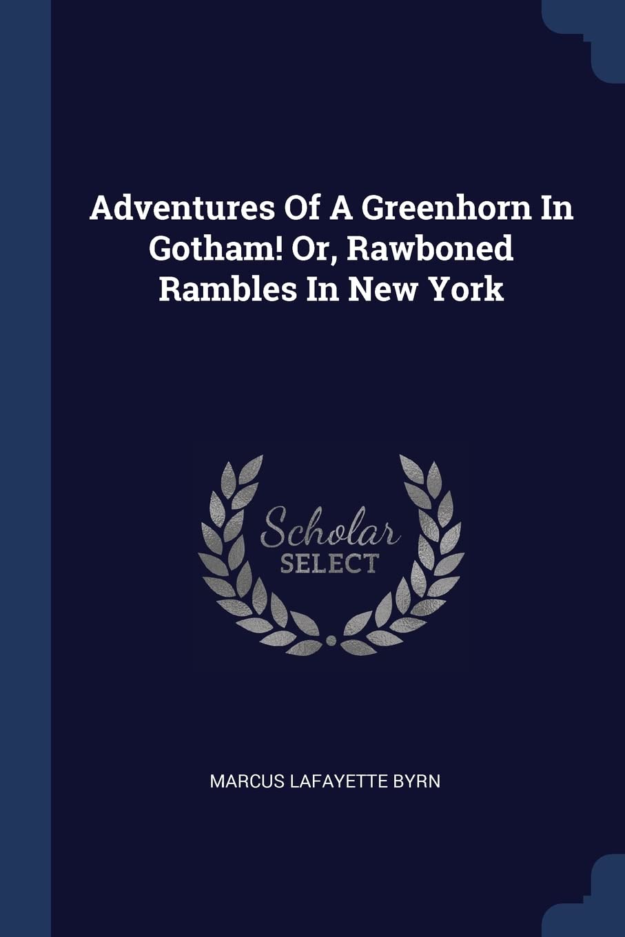 Adventures Of A Greenhorn In Gotham! Or, Rawboned Rambles In New York Politics & History