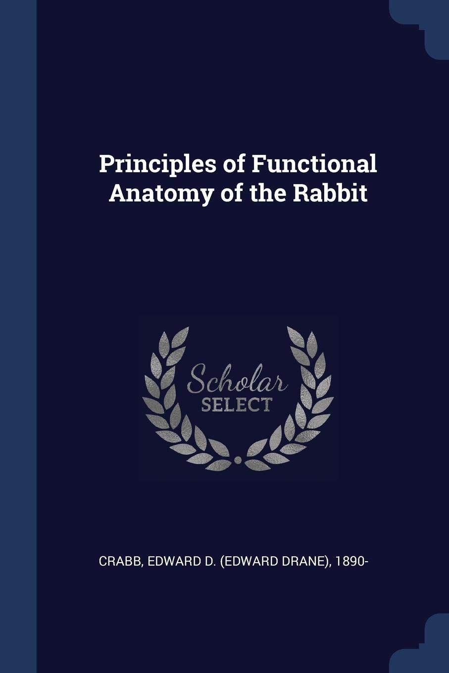 Principles of Functional Anatomy of the Rabbit Politics & History