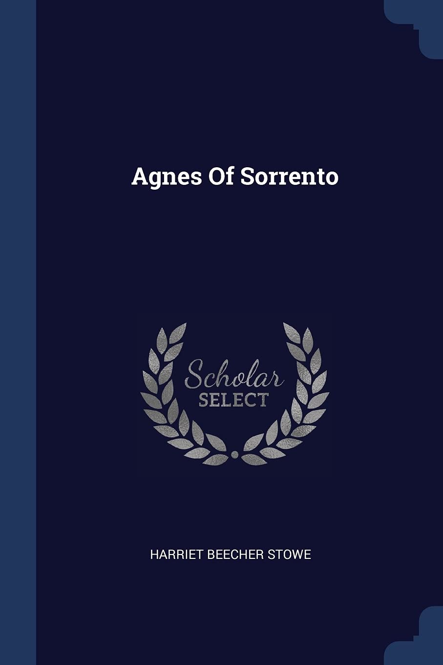 Agnes Of Sorrento Politics & History