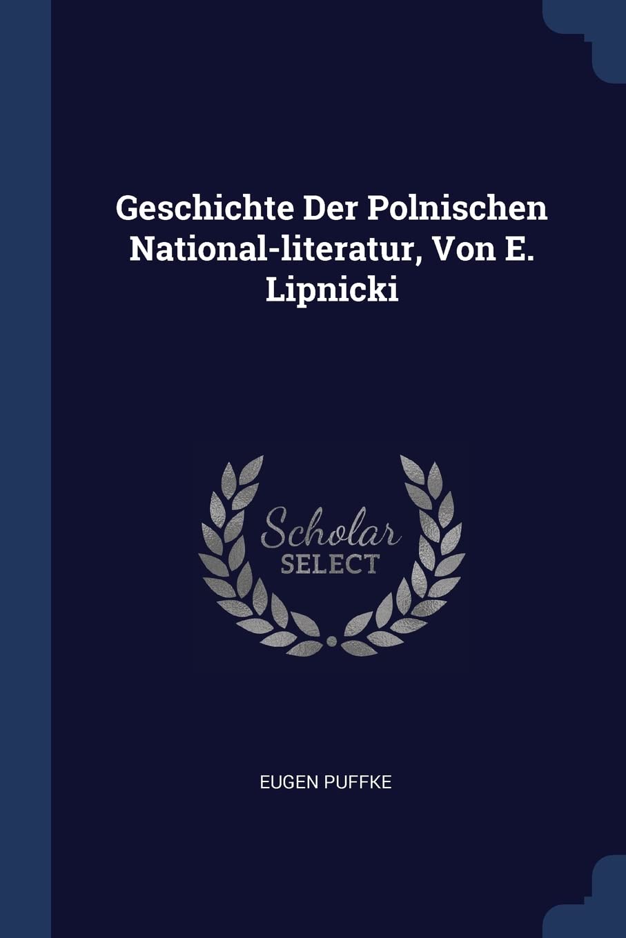 Geschichte Der Polnischen National-literatur, Von E. Lipnicki Politics & History