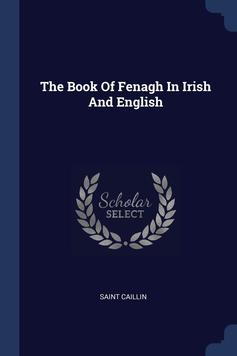 The Book Of Fenagh In Irish And English Politics & History