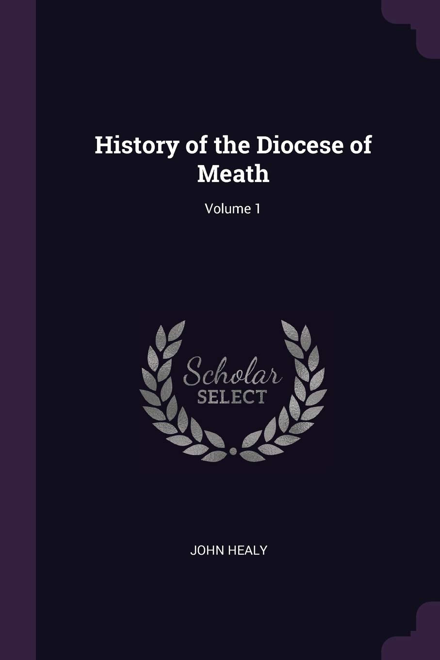 History of the Diocese of Meath; Volume 1 Politics & History