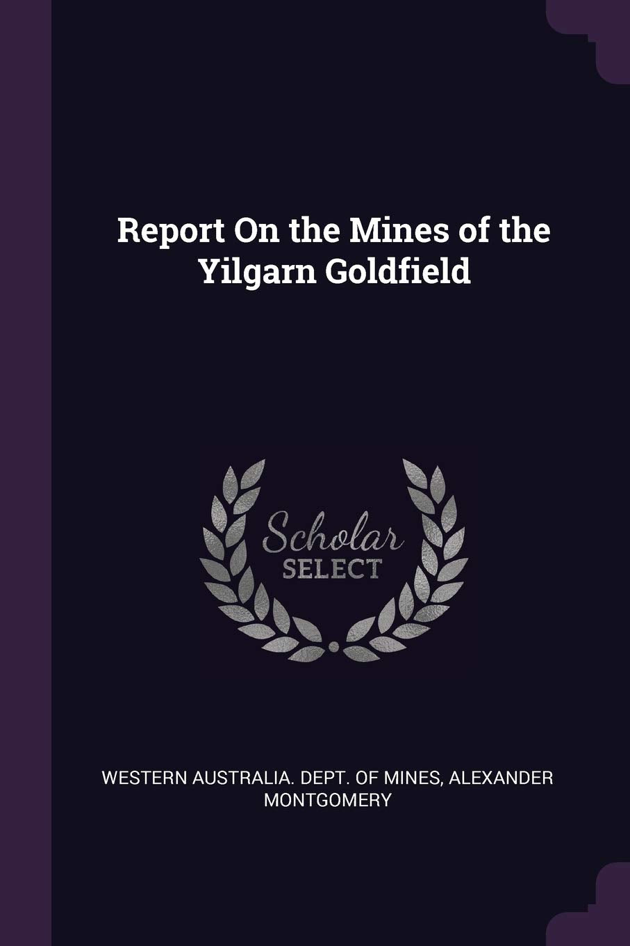 Report On the Mines of the Yilgarn Goldfield Business & Technology