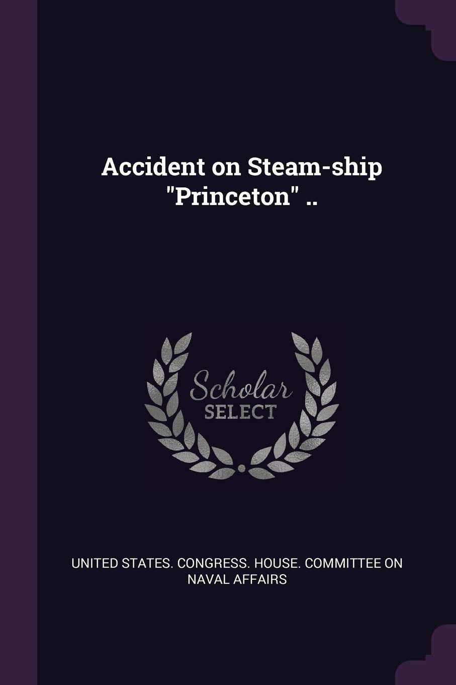 Accident on Steam-ship Princeton .. Politics & History