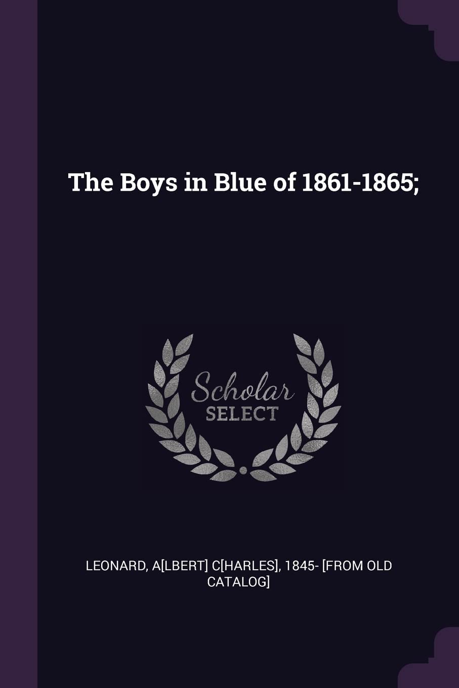 The Boys in Blue of 1861-1865; Politics & History