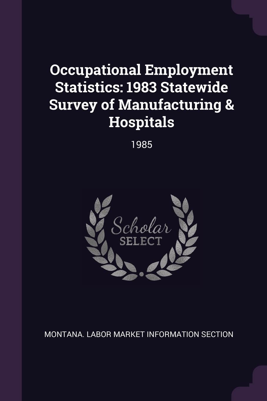 OCCUPATIONAL EMPLOYMENT STATIS: 1983 Statewide Survey of Manufacturing & Hospitals: 1985 Politics & History