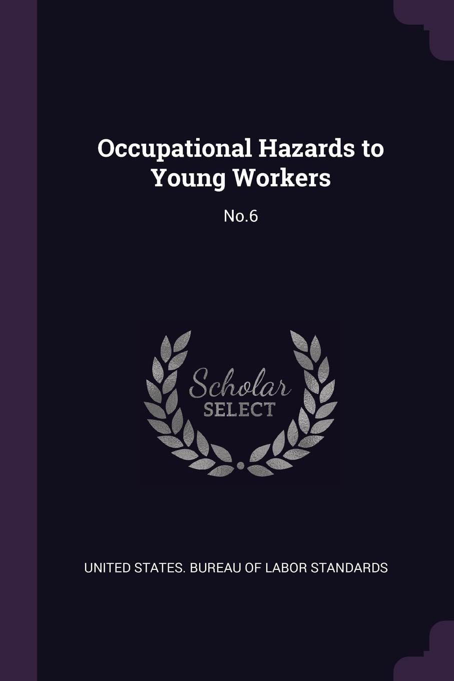 Occupational Hazards to Young Workers: No.6 Politics & History