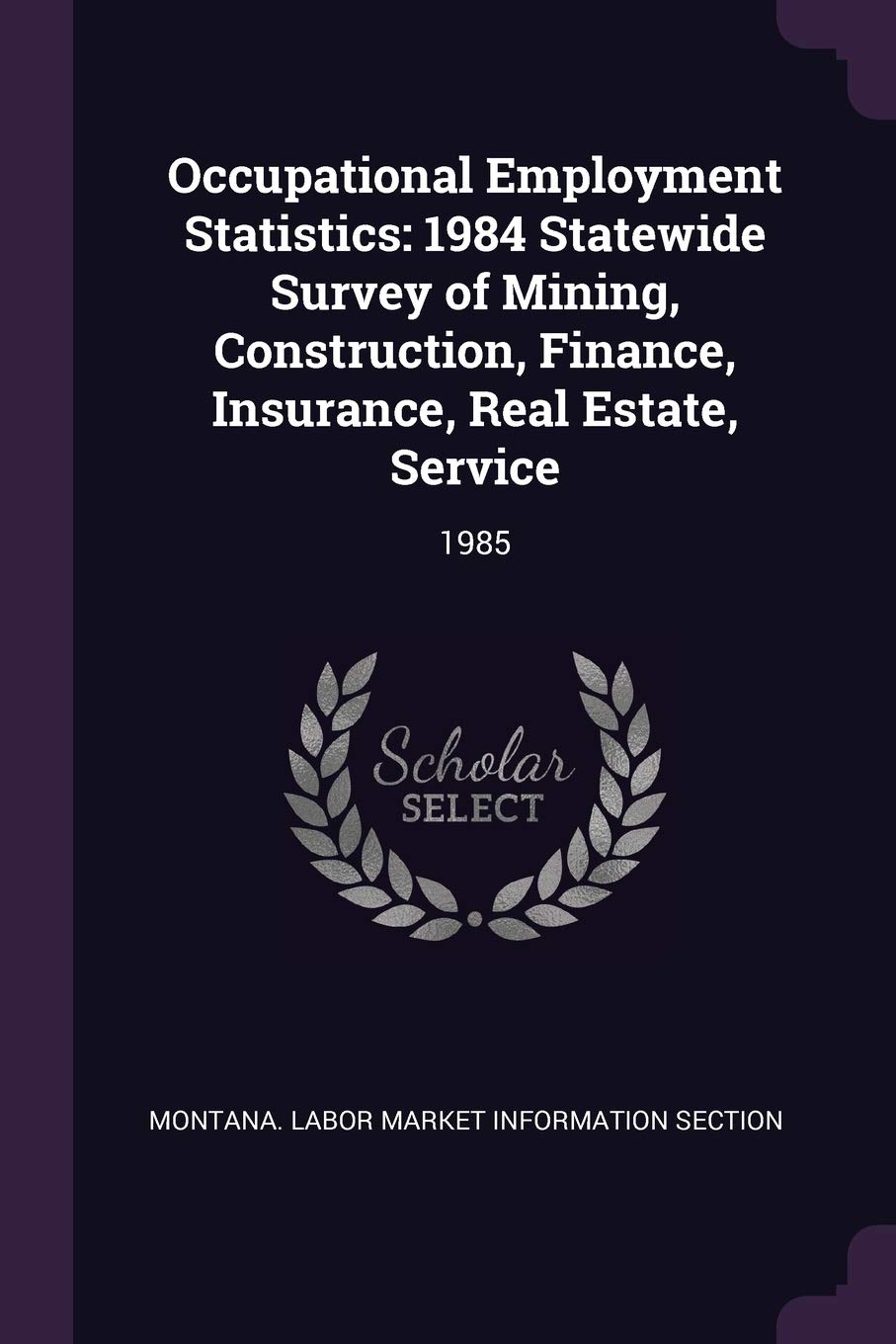 Occupational Employment Statistics: 1984 Statewide Survey of Mining, Construction, Finance, Insurance, Real Estate, Service: 1985 Politics & History
