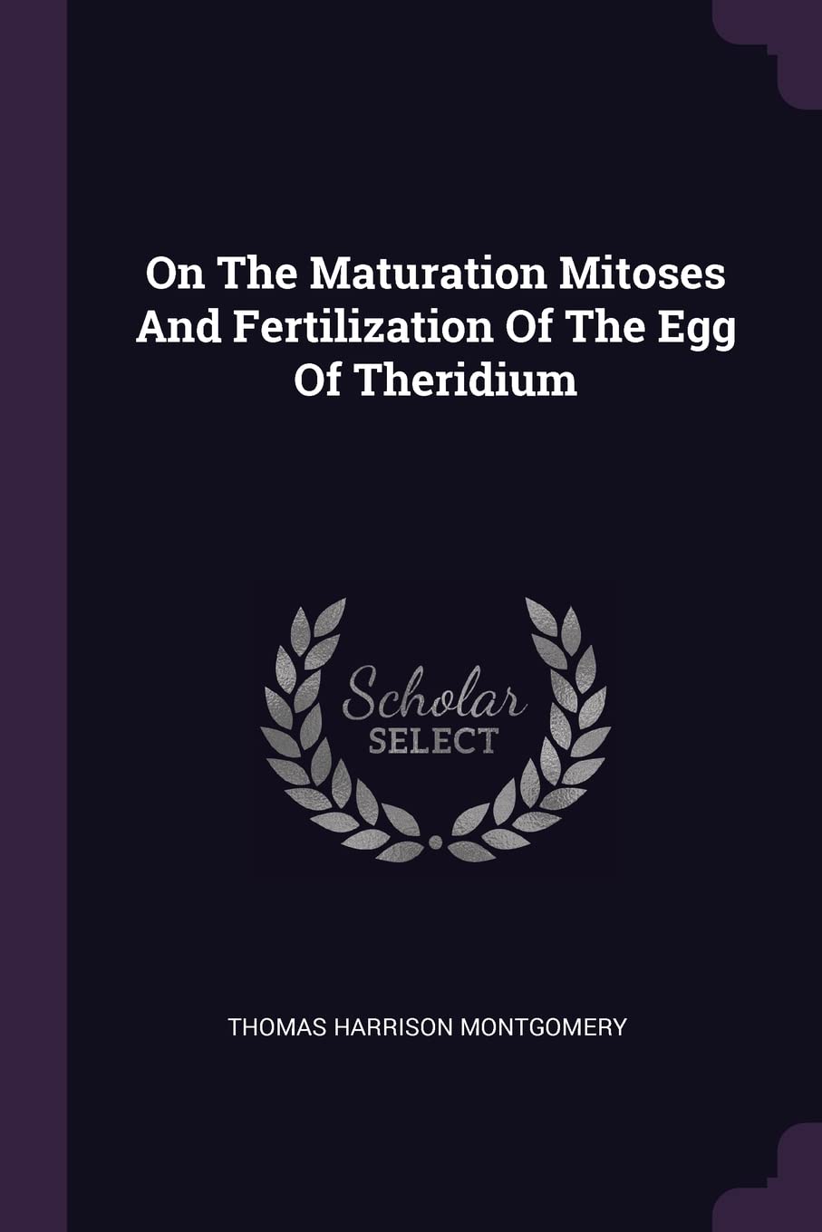On The Maturation Mitoses And Fertilization Of The Egg Of Theridium Politics & History