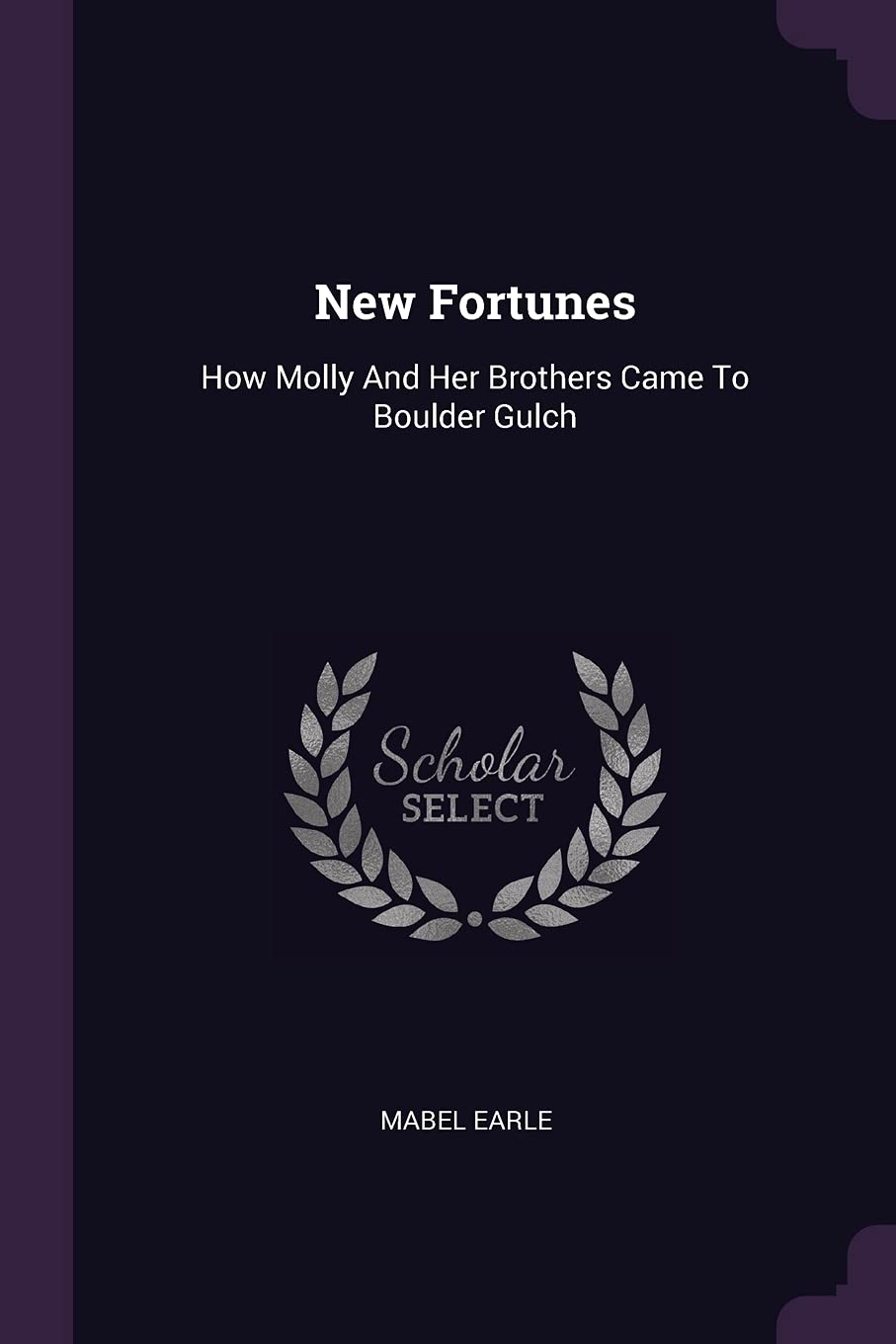 New Fortunes: How Molly And Her Brothers Came To Boulder Gulch Politics & History