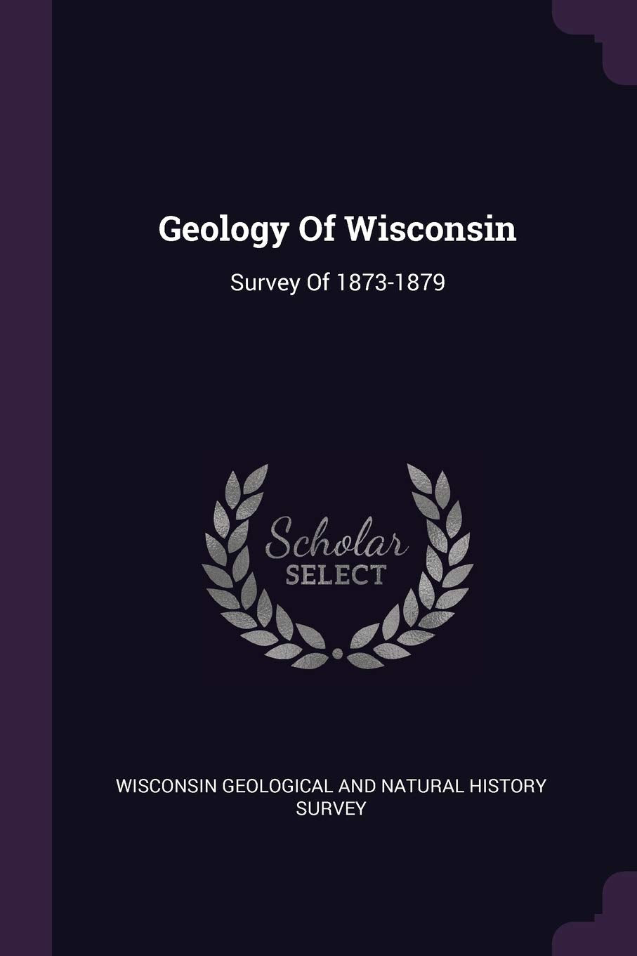 Geology Of Wisconsin: Survey Of 1873-1879 Mathematics