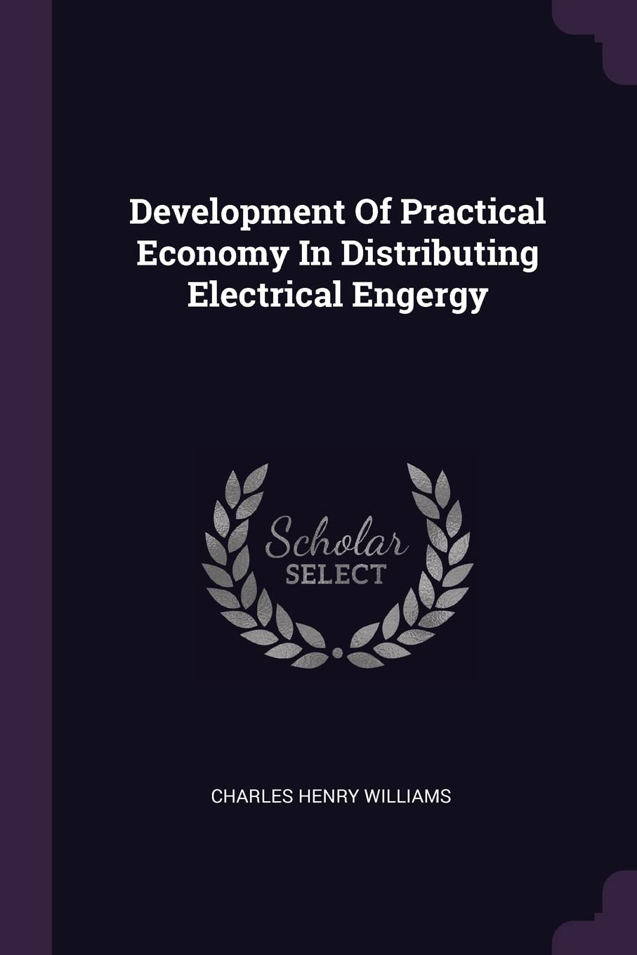 Development Of Practical Economy In Distributing Electrical Engergy Politics & History