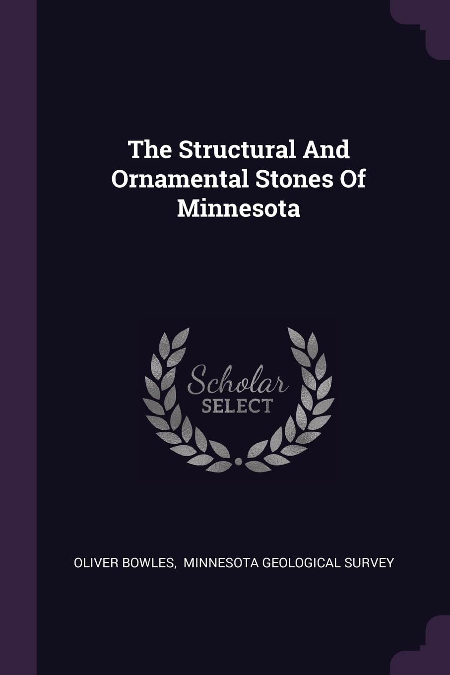 The Structural And Ornamental Stones Of Minnesota Politics & History