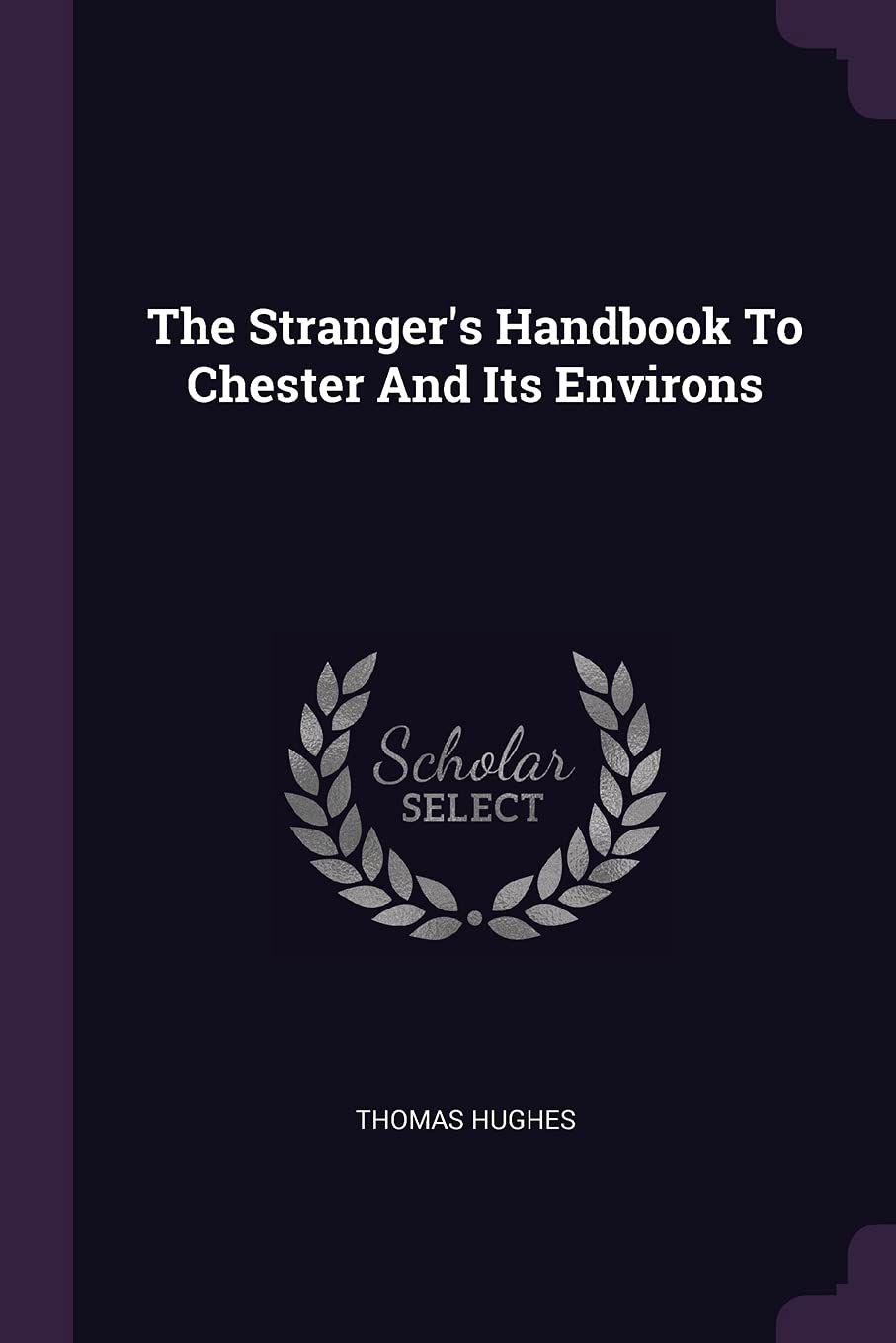 The Stranger's Handbook To Chester And Its Environs Politics & History