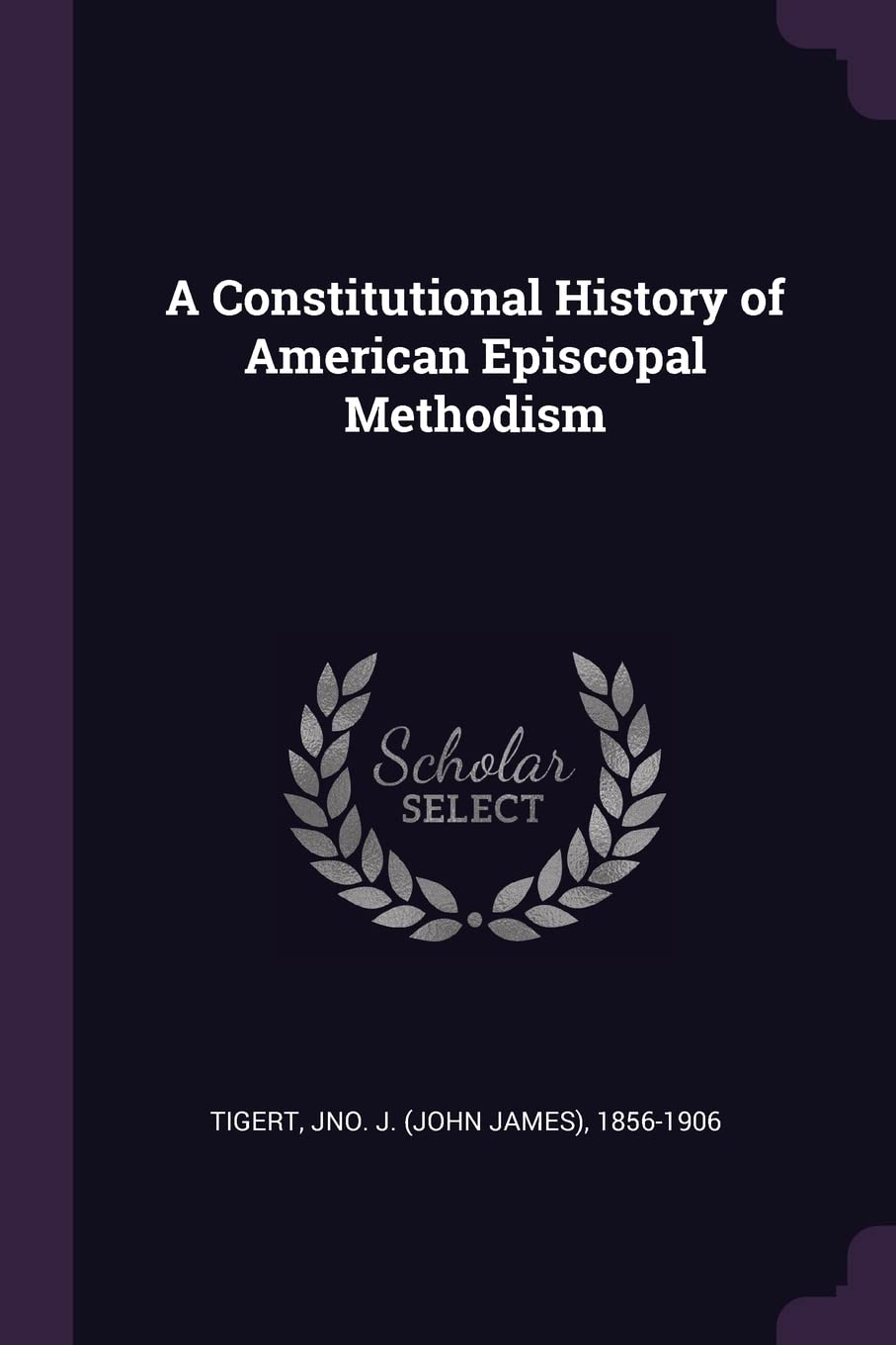 A Constitutional History of American Episcopal Methodism Politics & History